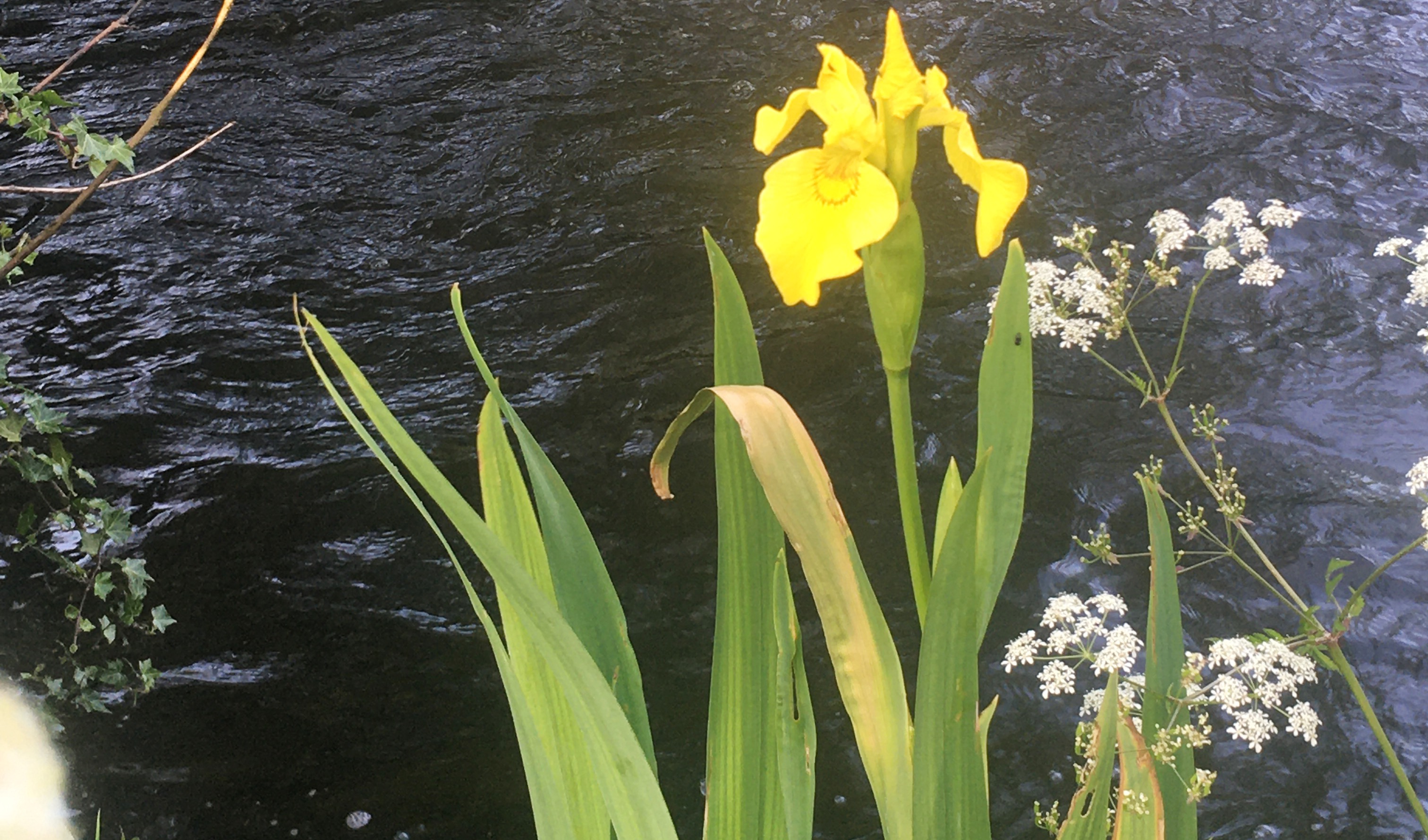 Mental Health Awareness Week & Covid-19 | 6 Things to Remember Mental Health Awareness Week & Covid-19 | 6 Things to Remember
