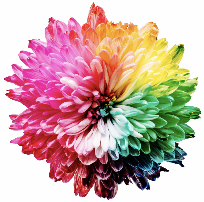 What If Contentment Were a Choice? Five Life-Changing Lessons That I Learned from Working as a Therapist What If Contentment Were a Choice? Five Life-Changing Lessons That I Learned from Working as a Therapist