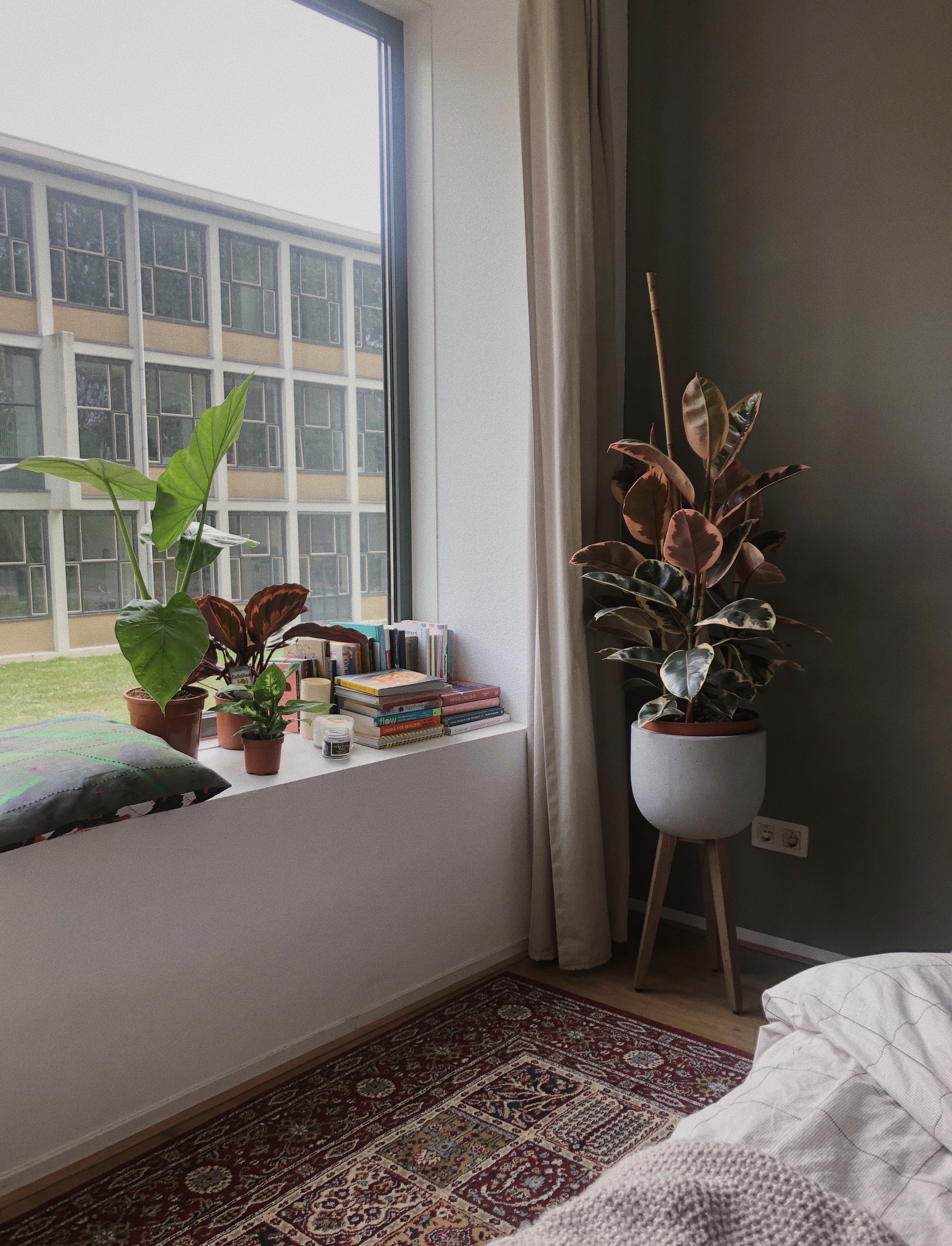 Cozying up Your Place with Plants & Other Tips Cozying up Your Place with Plants & Other Tips