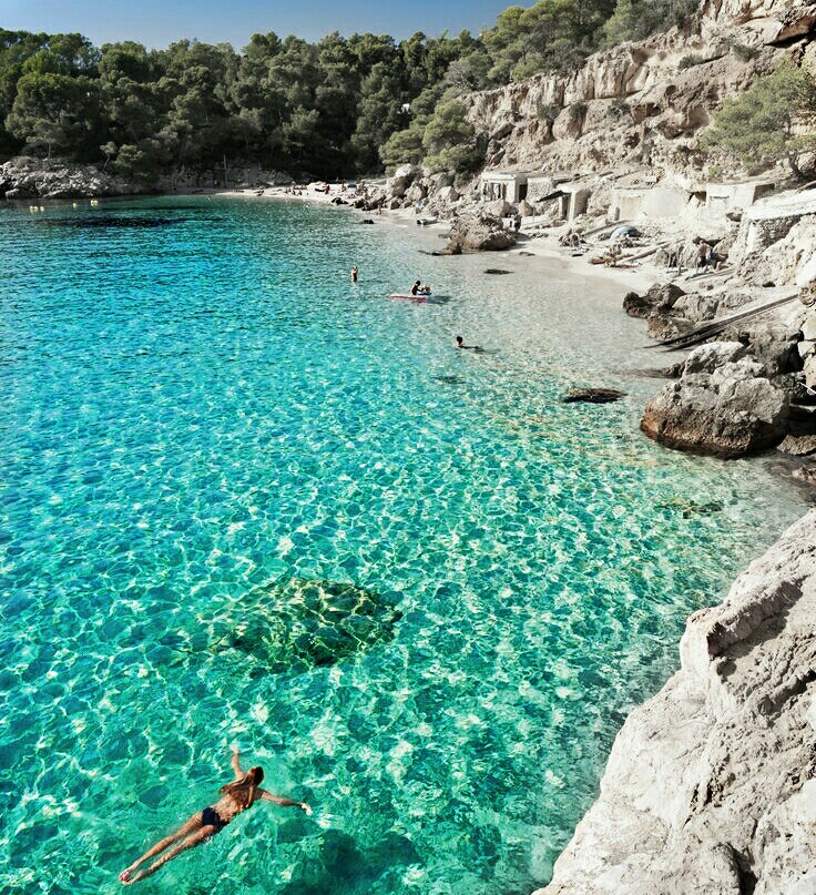 Vitamin SEA Vitamin SEA