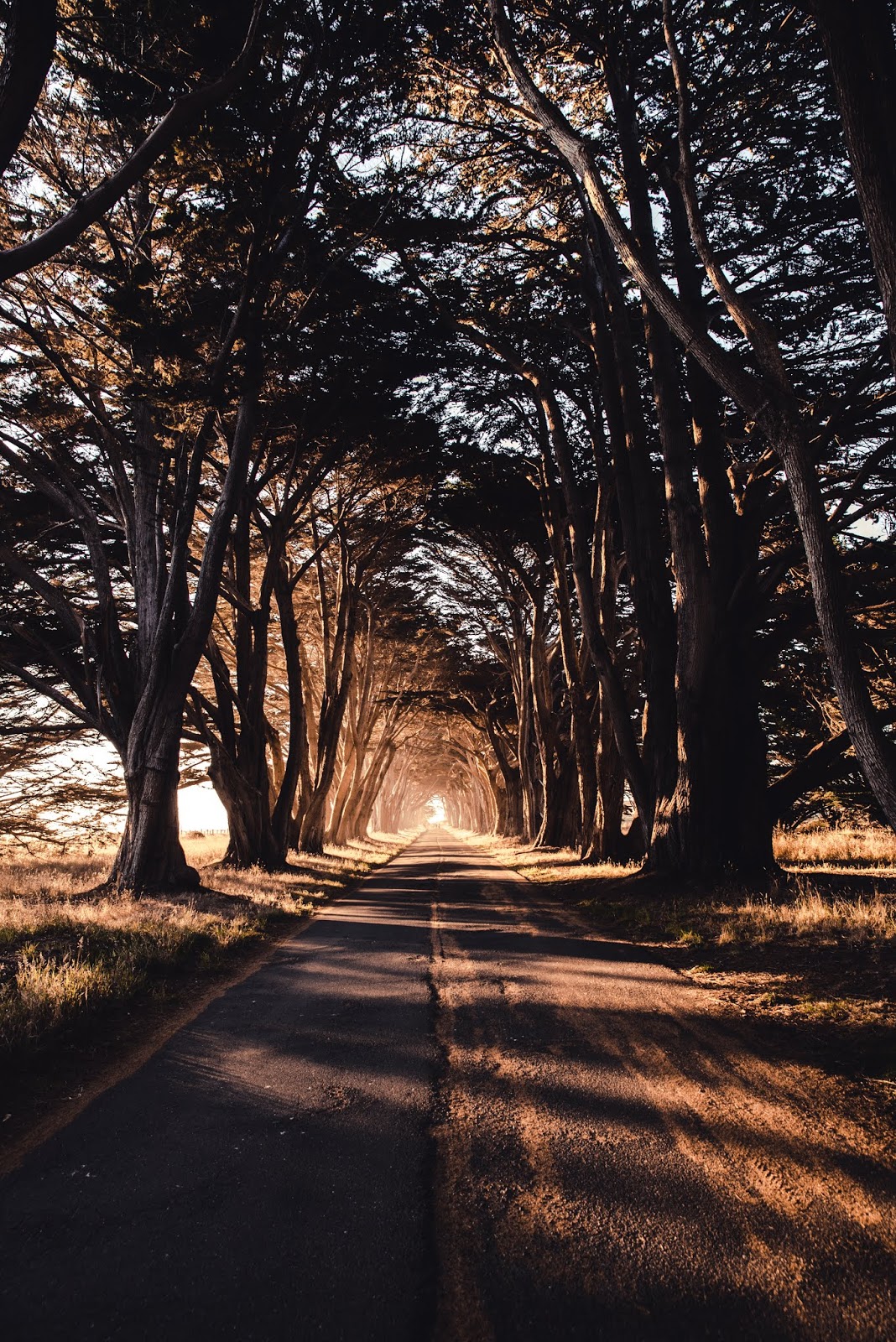 WHAT KEEPS YOU GOING IN YOUR DOWN AND TRYING TIMES? WHAT KEEPS YOU GOING IN YOUR DOWN AND TRYING TIMES?