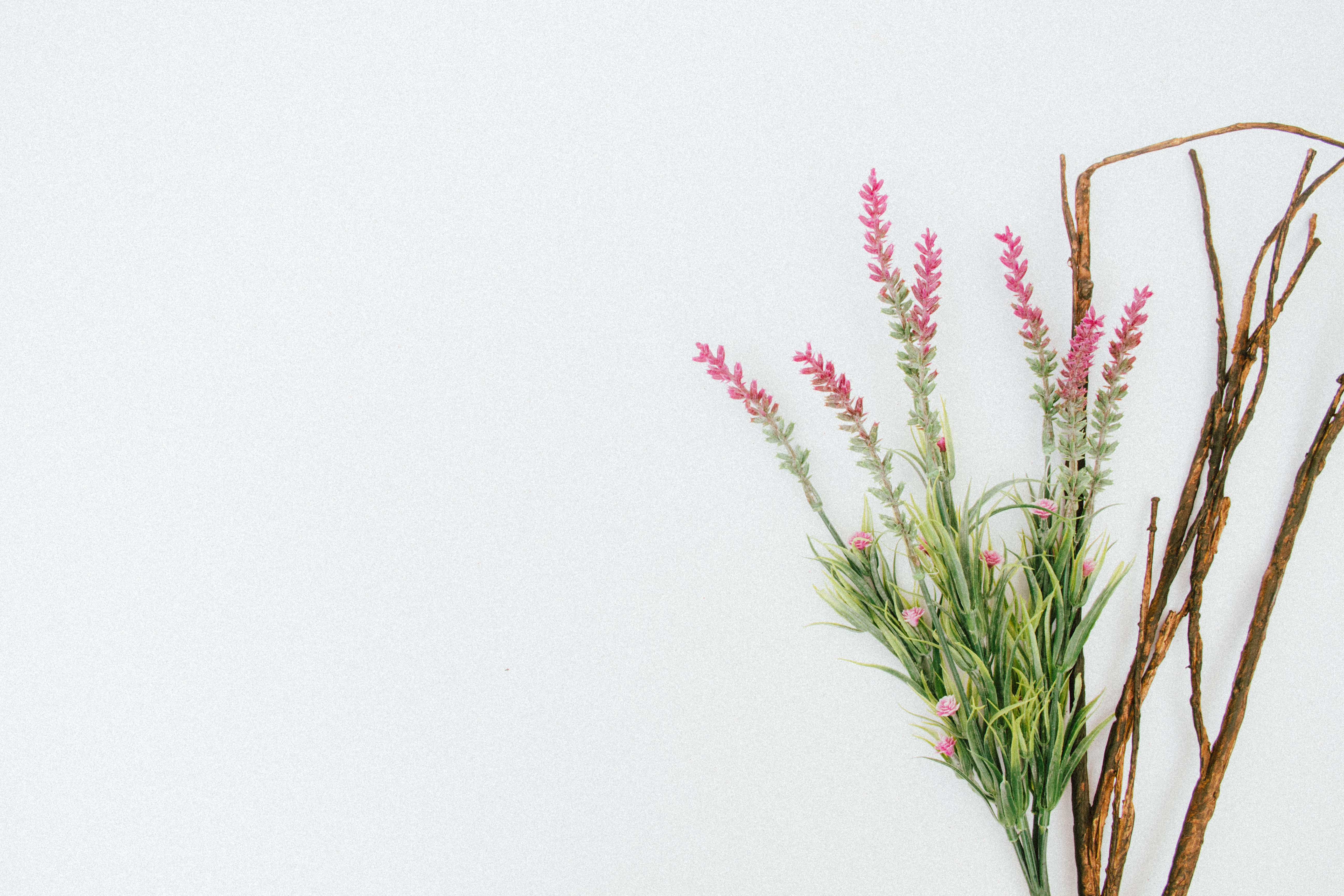 The Ultimate Guide to Arranging Flowers Properly The Ultimate Guide to Arranging Flowers Properly