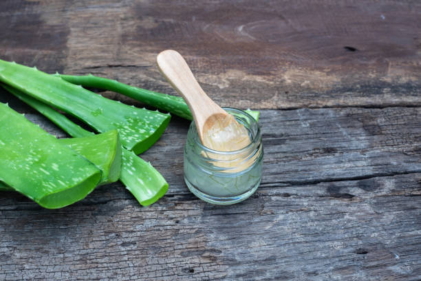 Aloe Vera, The Magical Ingredient in Your Daily Skincare. Aloe Vera, The Magical Ingredient in Your Daily Skincare.
